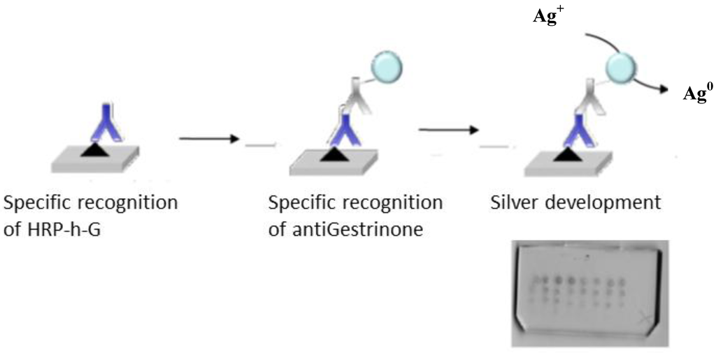 Biosensors 02 00291 g004 1024