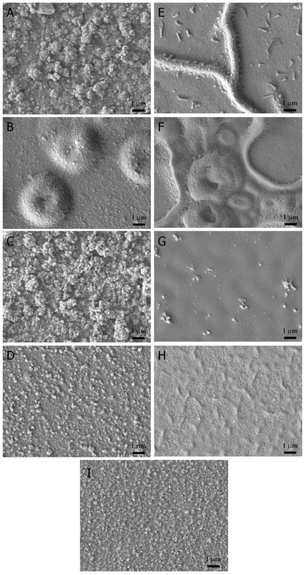 Biosensors 02 00305 g002 1024