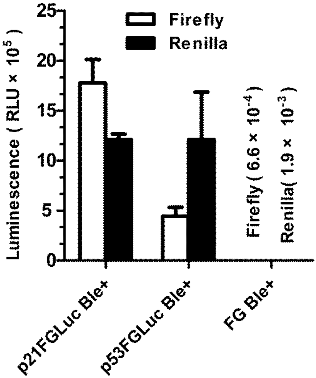 Biosensors 02 00318 g003 1024