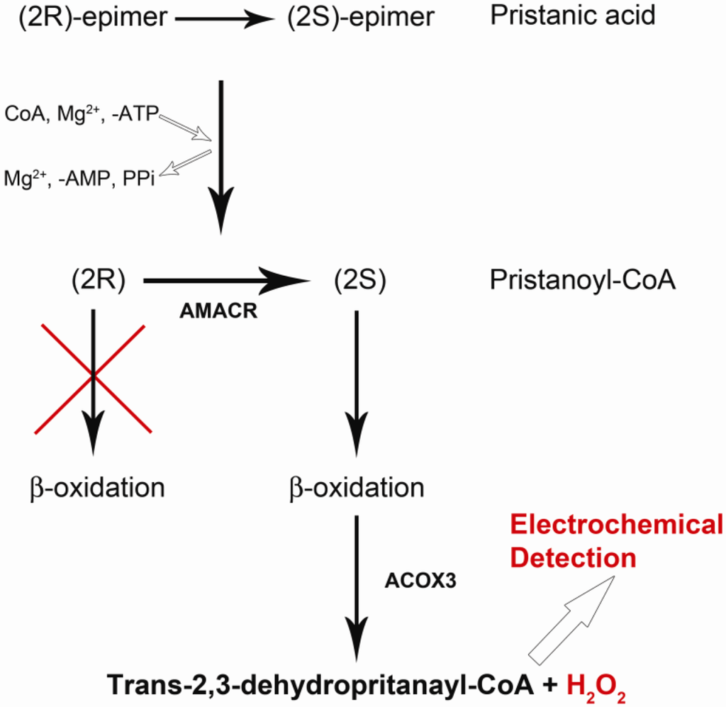 Biosensors 02 00377 g001 1024
