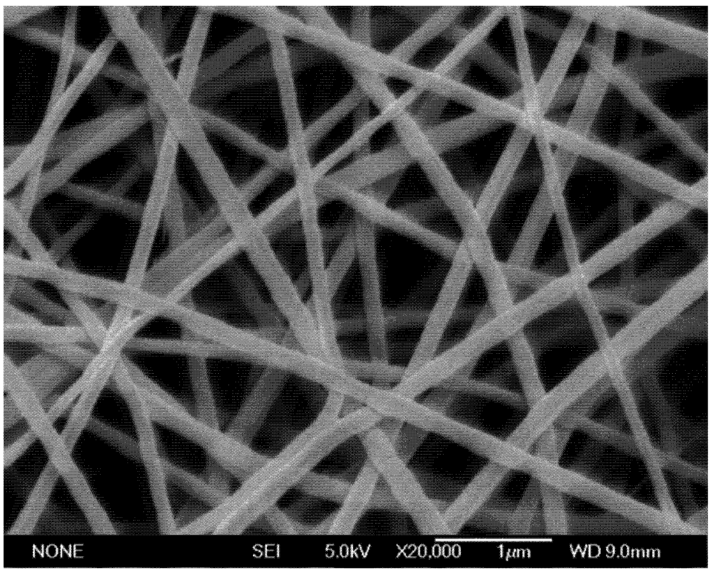 Biosensors 02 00388 g001 1024