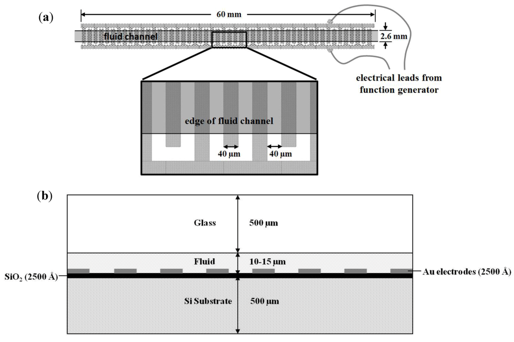 Biosensors 02 00405 g001 1024