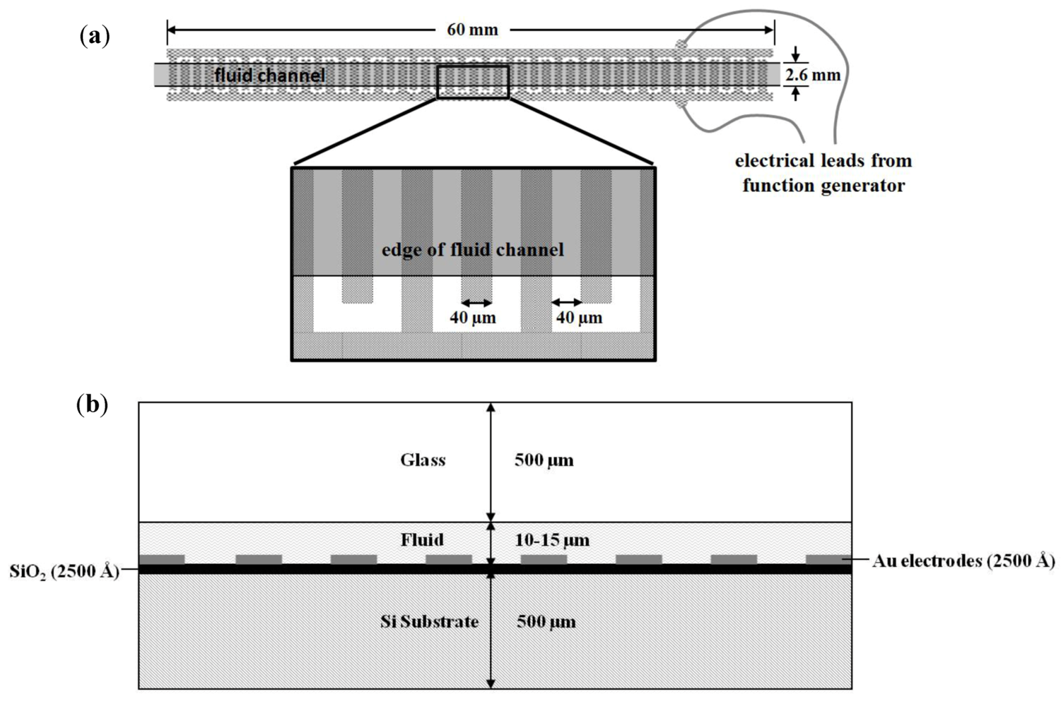 Biosensors 02 00405 g001
