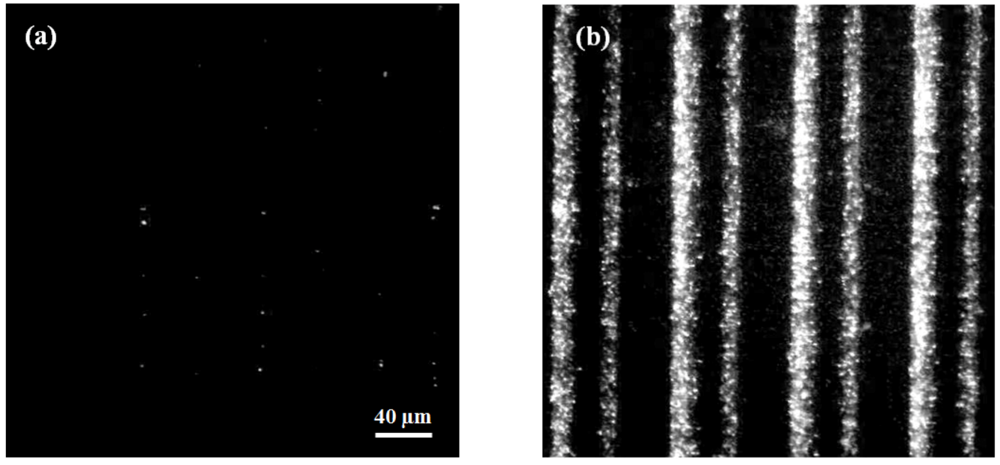 Biosensors 02 00405 g003 1024