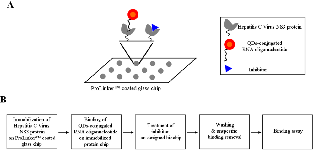 Biosensors 02 00427 g001