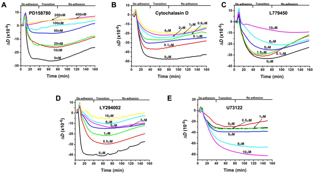 Biosensors 02 00448 g001 1024