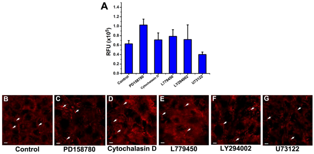 Biosensors 02 00448 g002 1024