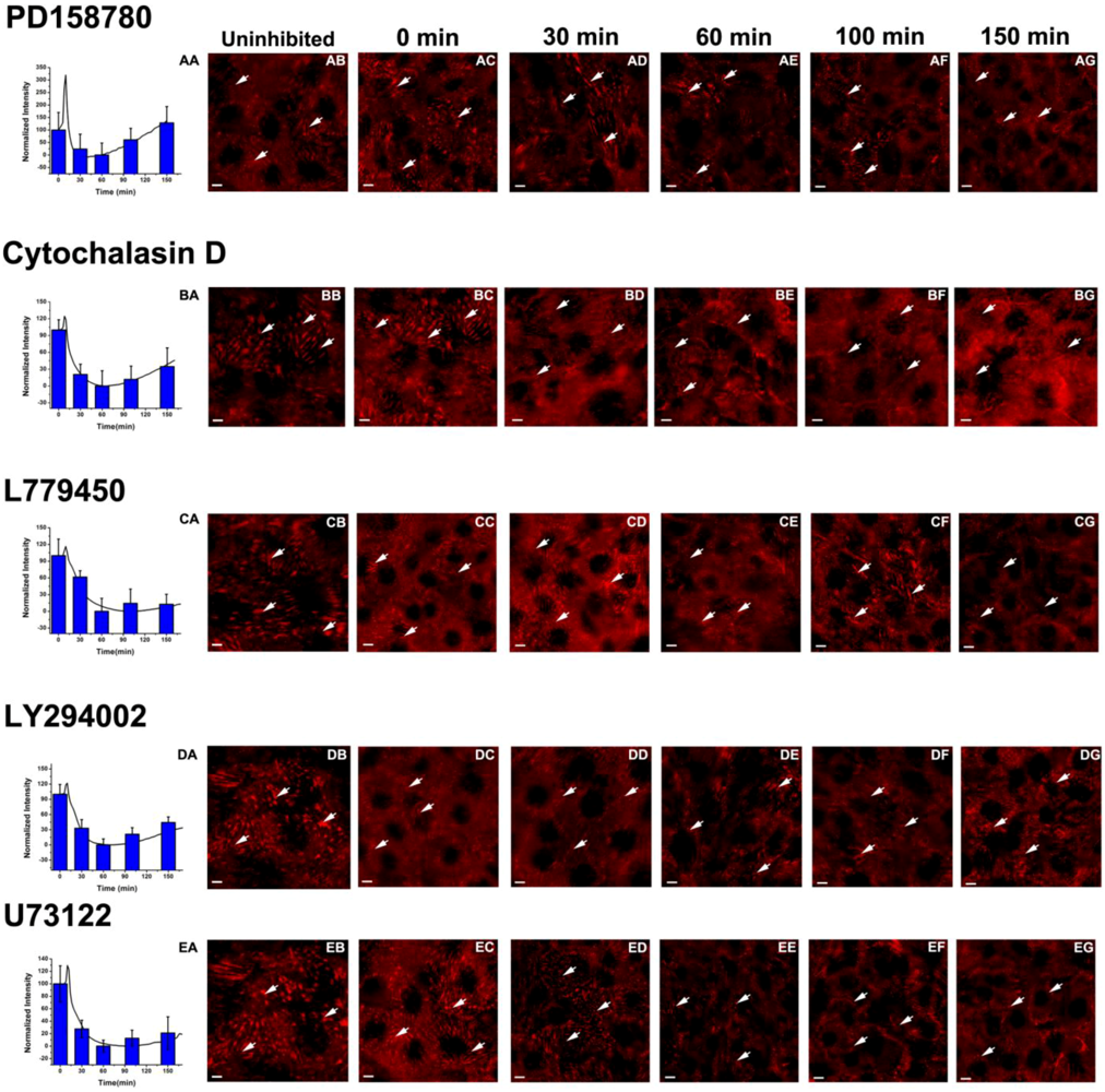 Biosensors 02 00448 g003 1024