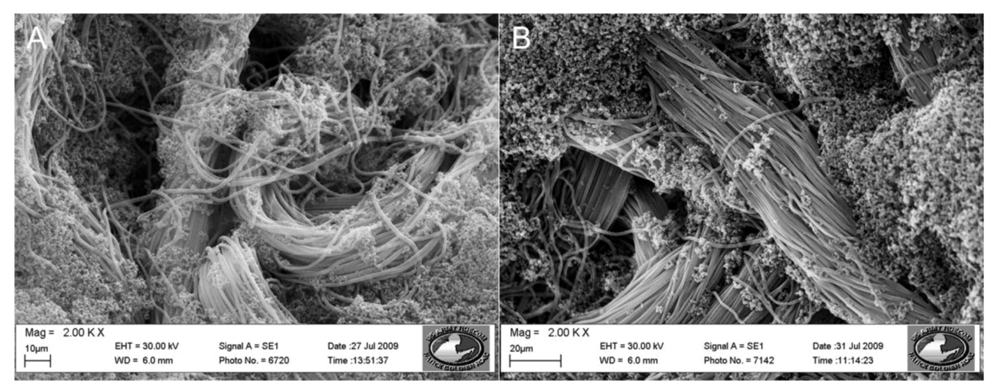 Biosensors 02 00465 g001 1024