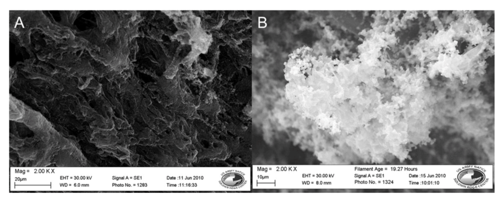 Biosensors 02 00465 g002 1024