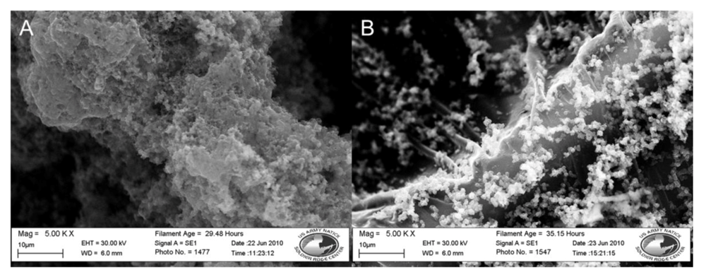 Biosensors 02 00465 g004 1024