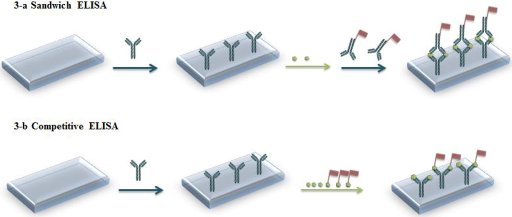 Biosensors 03 00058 g001 1024