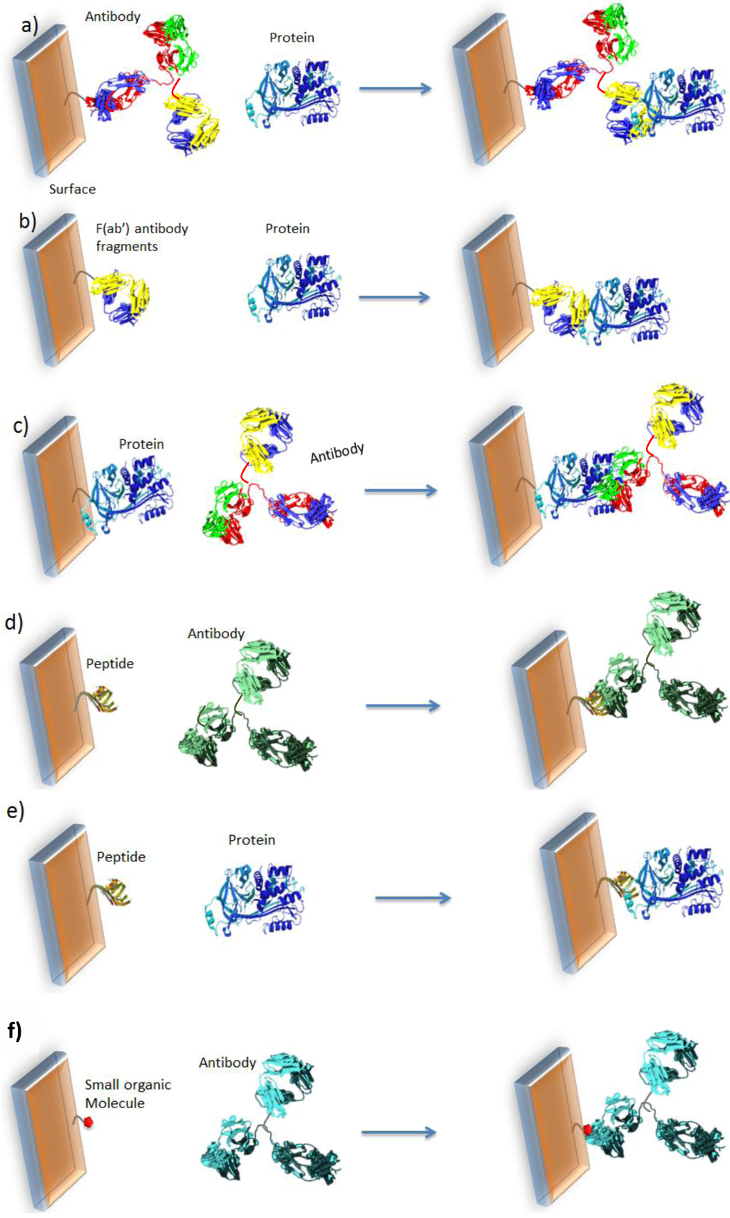 Biosensors 03 00058 g002 1024