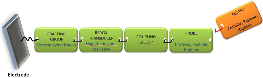 Biosensors 03 00058 g003 1024