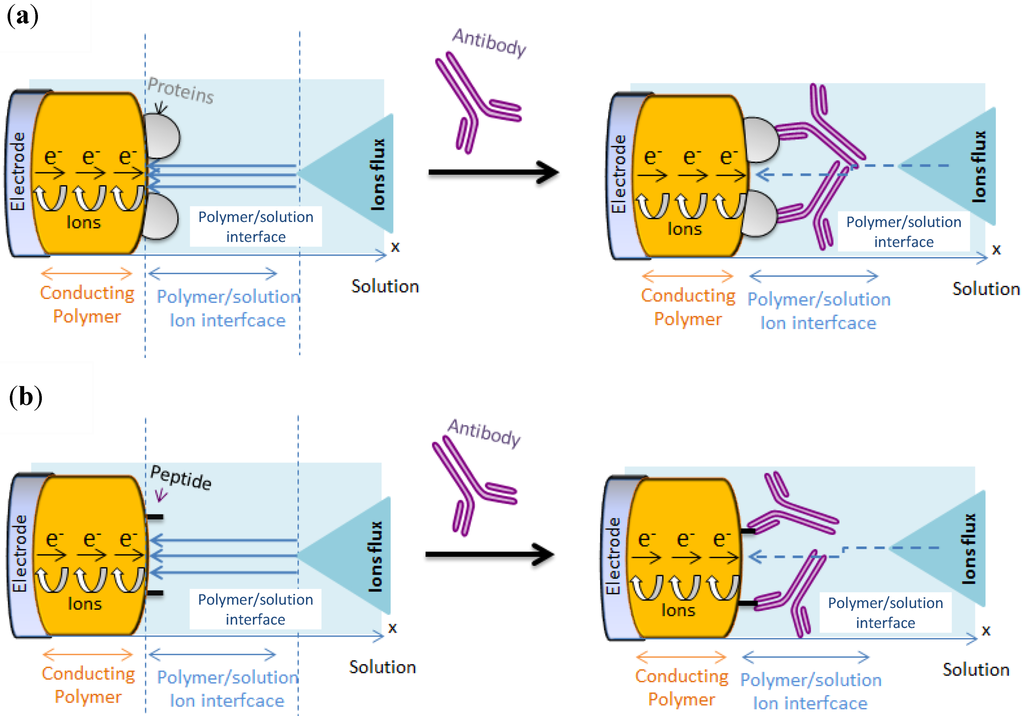 Biosensors 03 00058 g006 1024