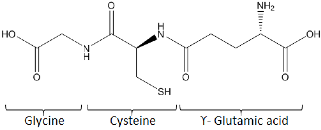 Biosensors 03 00058 g008 1024
