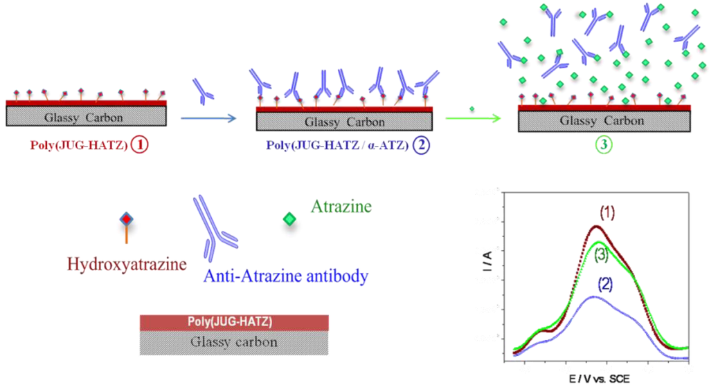 Biosensors 03 00058 g014 1024