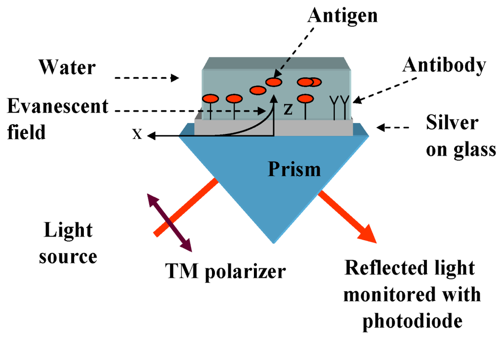 Biosensors 03 00157 g002 1024