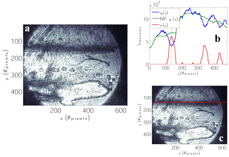 Biosensors 03 00157 g007 1024