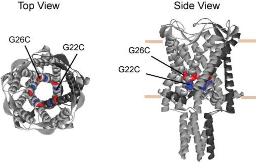 Biosensors 03 00171 g001 1024