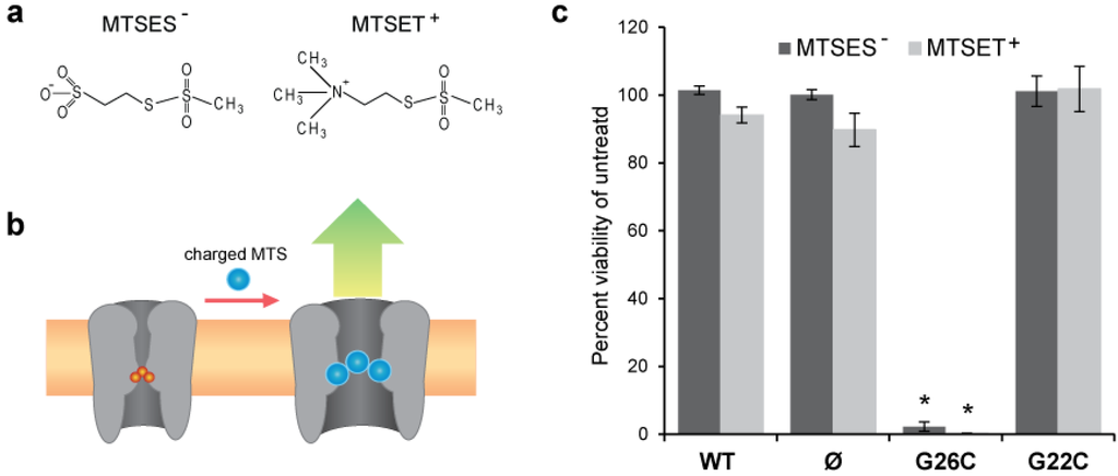 Biosensors 03 00171 g002 1024