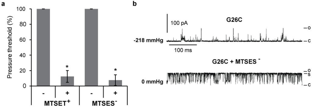 Biosensors 03 00171 g003 1024