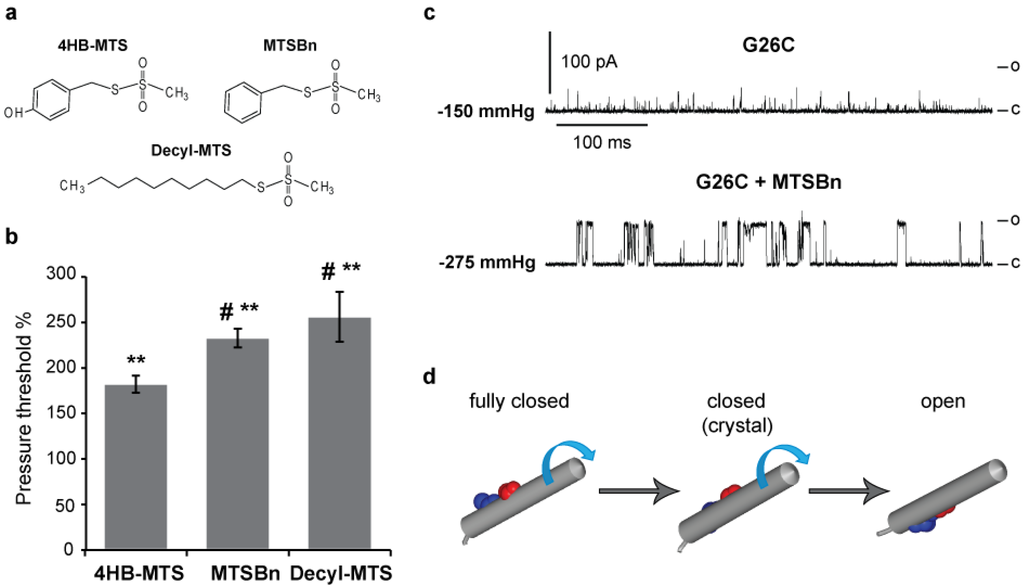 Biosensors 03 00171 g004 1024