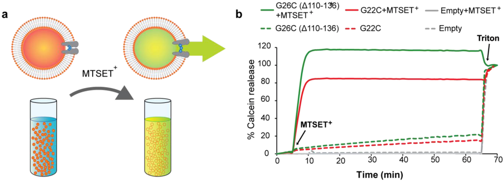 Biosensors 03 00171 g005 1024