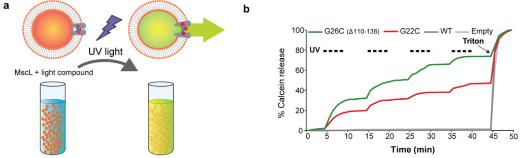 Biosensors 03 00171 g006 1024