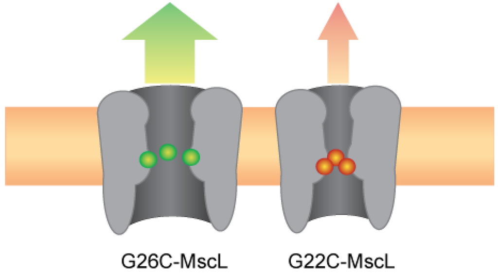 Biosensors 03 00171 g007 1024