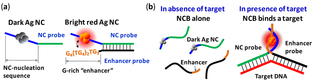 Biosensors 03 00185 g002 1024