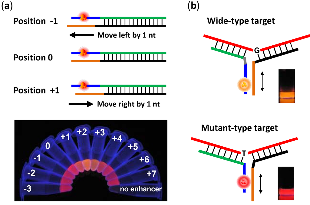Biosensors 03 00185 g003 1024