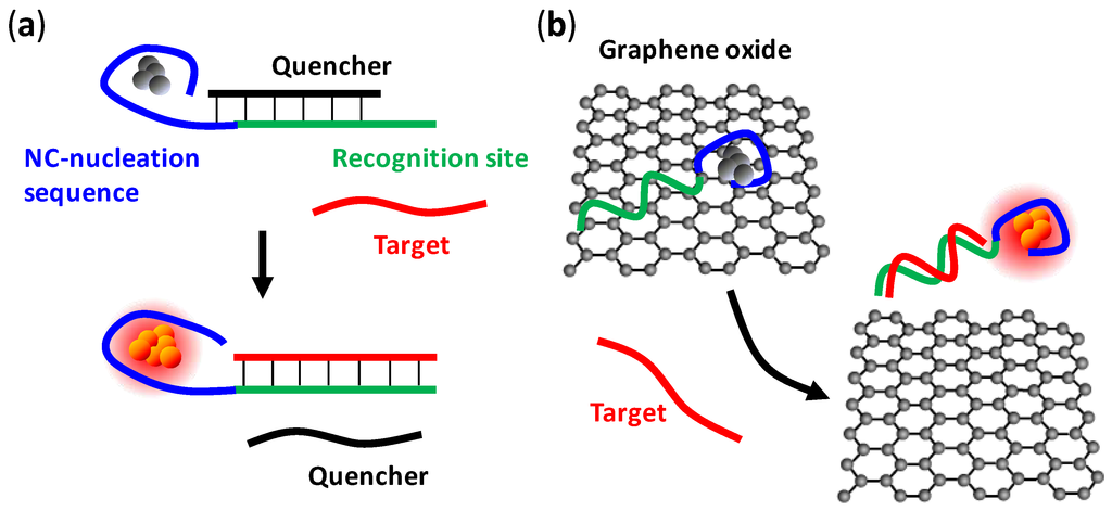 Biosensors 03 00185 g004 1024