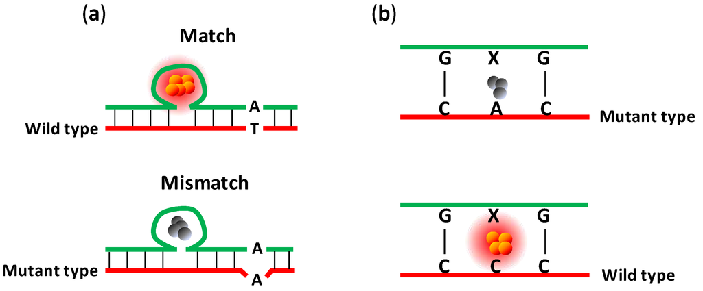 Biosensors 03 00185 g005 1024