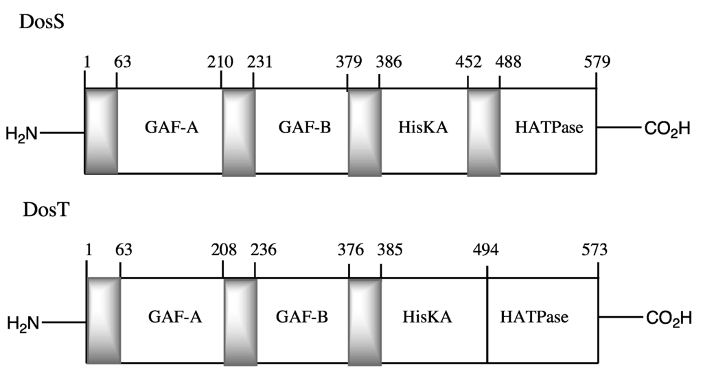 Biosensors 03 00259 g001 1024