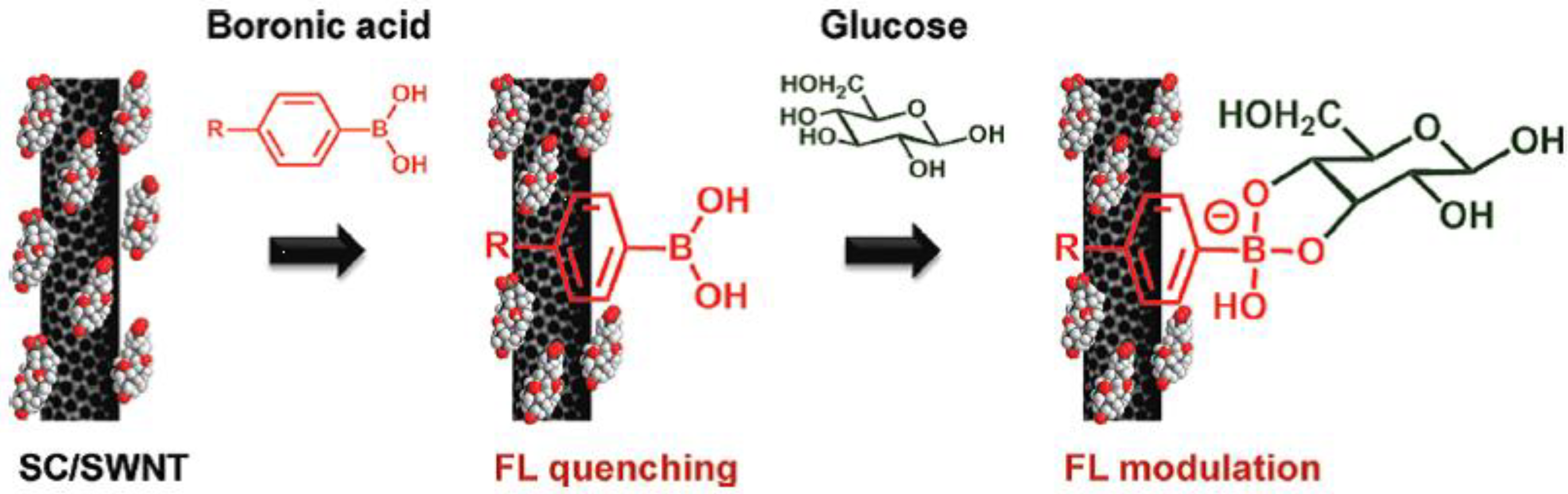 Biosensors 03 00400 g006