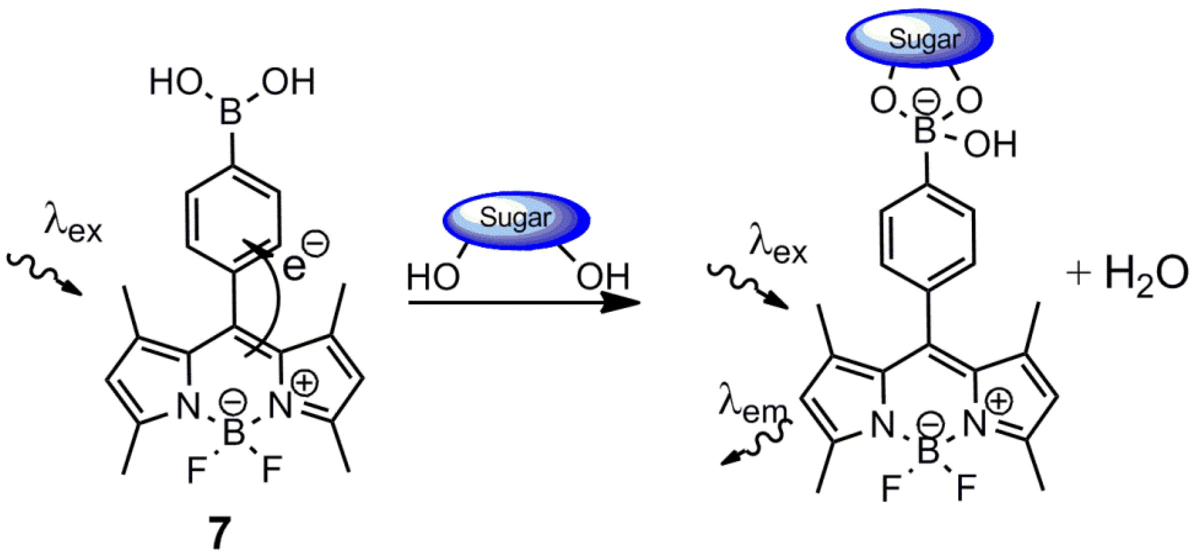 Biosensors 03 00400 g013