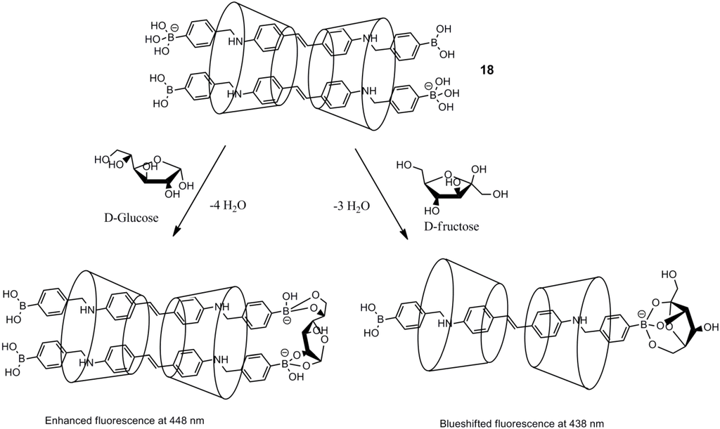 Biosensors 03 00400 g015 1024