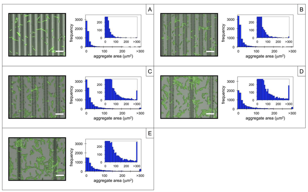 Biosensors 04 00063 g002 1024