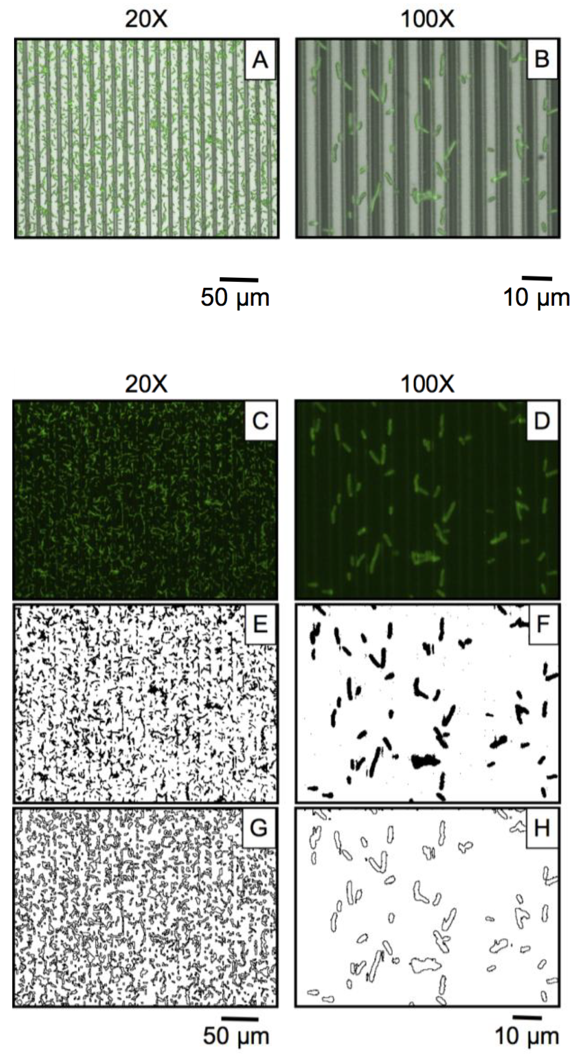 Biosensors 04 00063 g006