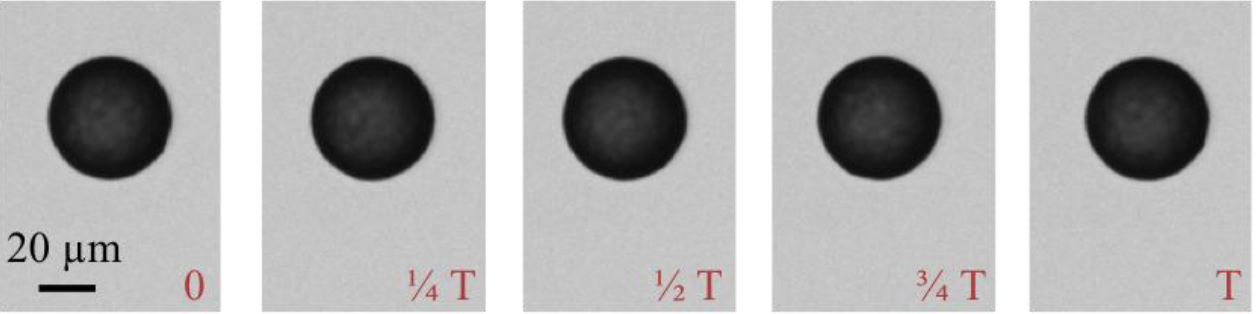 Biosensors 04 00076 g004