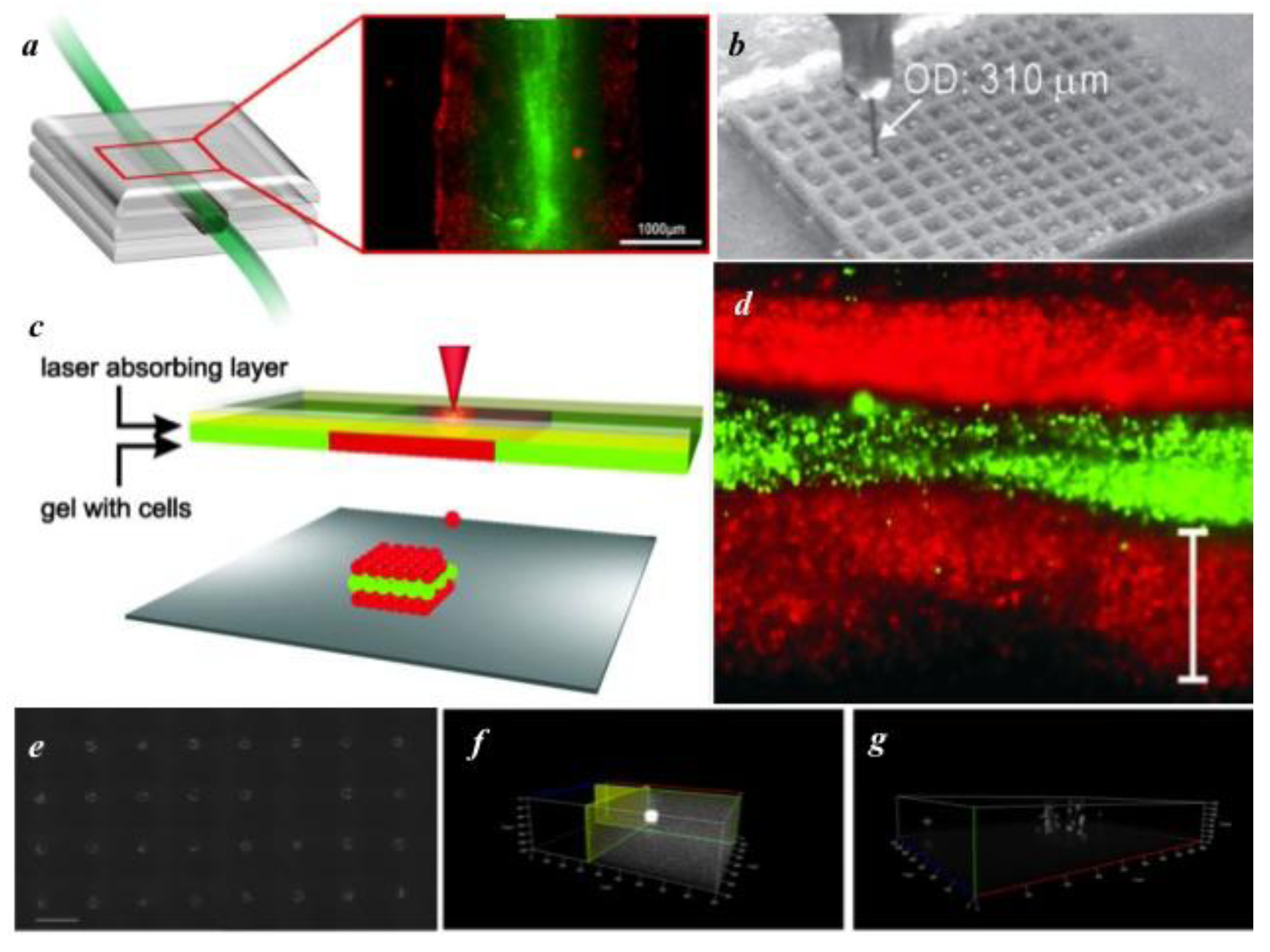 Biosensors 04 00111 g003