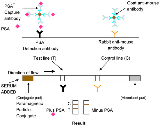 Biosensors 04 00204 g002 550