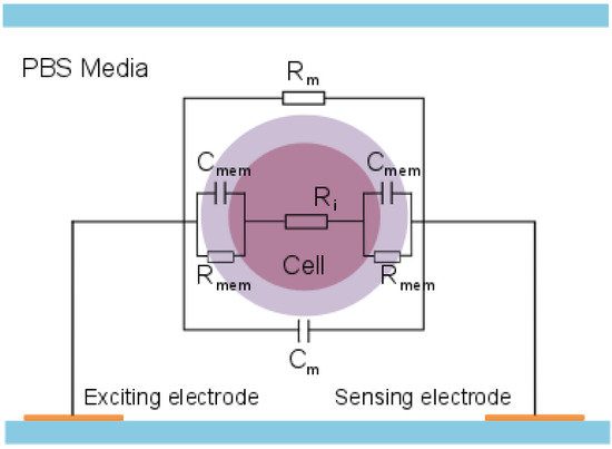 Biosensors 04 00257 g002 550