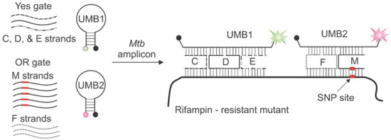 Biosensors 04 00273 g004 550