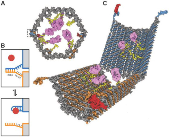 Biosensors 04 00273 g007 550