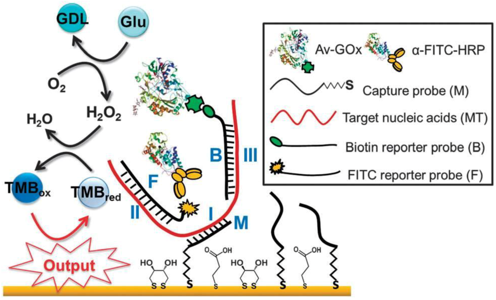 Biosensors 04 00273 g009