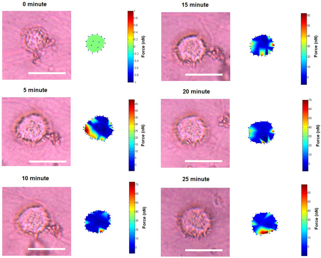 Biosensors 05 00013 g005 1024