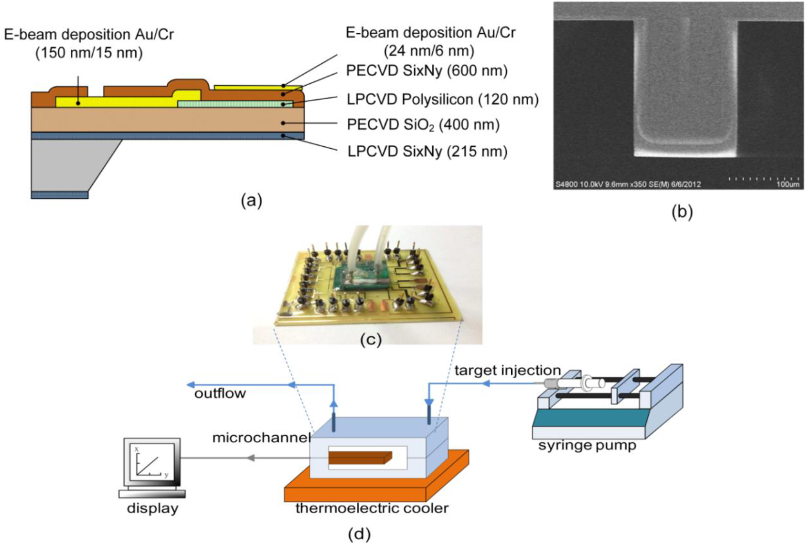 Biosensors 05 00037 g001