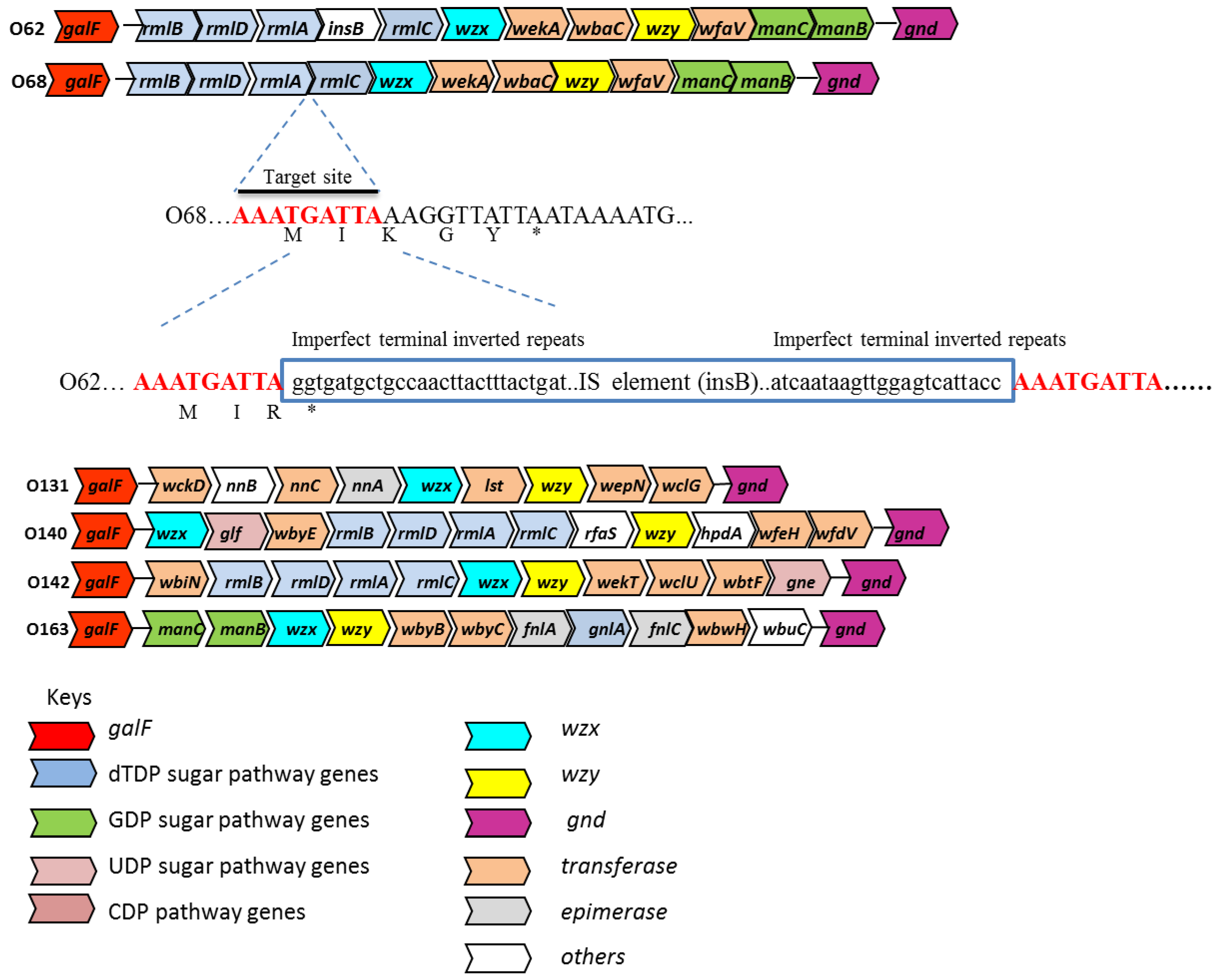 Biosensors 05 00051 g001